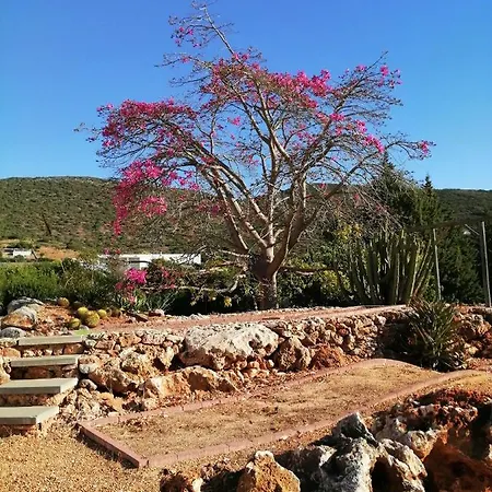 Tatil Evi Quinta Do Medronhal - Medronhal