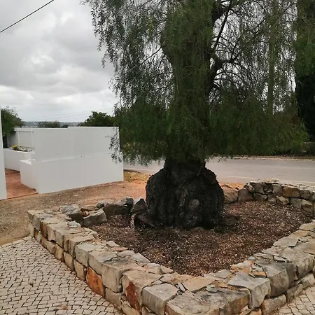 Casa vacanze Casa De Medronhal Distretto di Faro