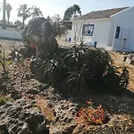Quinta Do Medronhal - Medronhal