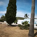 Quinta Do Medronhal - Medronhal