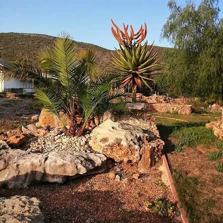 Quinta Do Medronhal - Medronhal