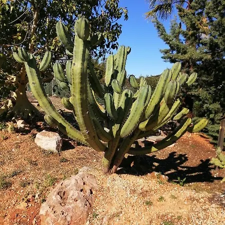 Σπίτι διακοπών Quinta Do Medronhal - Medronhal Φάρο