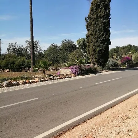 Quinta Do Medronhal - Medronhal Σπίτι διακοπών *