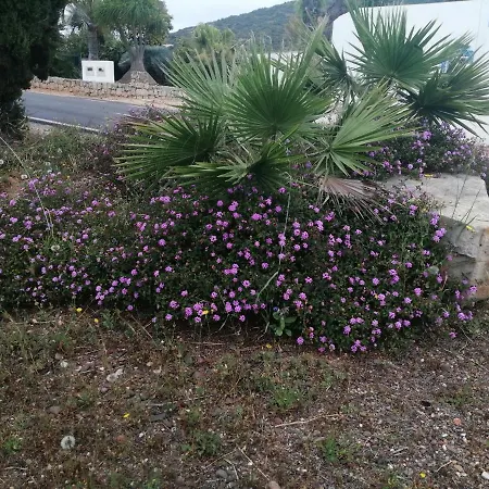 Quinta Do Medronhal - Medronhal *