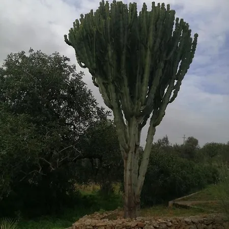 Quinta Do Medronhal - Medronhal * Φάρο