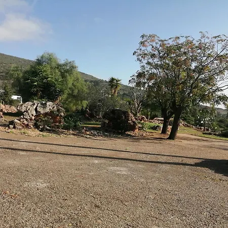 Quinta Do Medronhal - Medronhal Φάρο