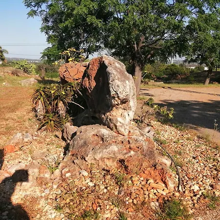 Quinta Do Medronhal - Medronhal Σπίτι διακοπών