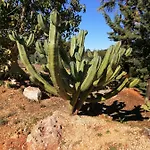 Дом отдыха Quinta Do Medronhal - Medronhal Фару