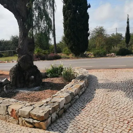 Quinta Do Medronhal - Medronhal *