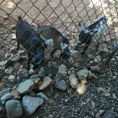 Quinta Do Medronhal - Medronhal * Distrikt Faro